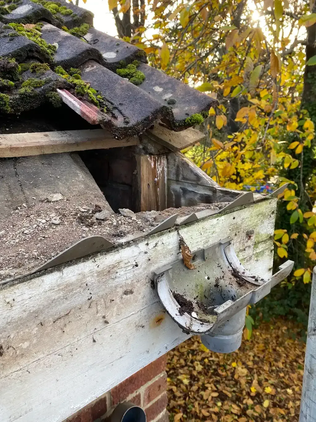drainage services