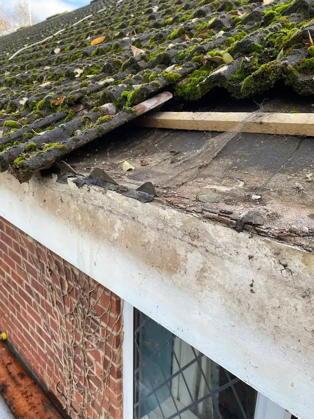 Background image for Soffits And Fasicas In Southampton in Southampton